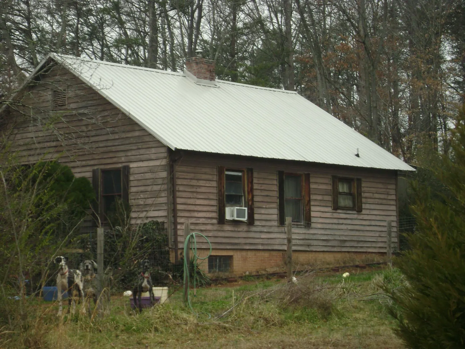 White metal roof on an old wood sided farmhouse, from a Asphalt Shingle Roof Repair job in Montesano